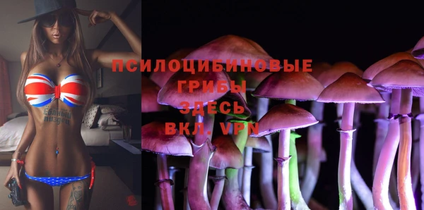 соль ск Алзамай
