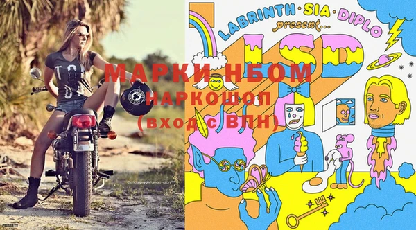 соль ск Алзамай