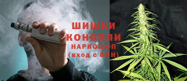 PSILOCYBIN Алексеевка