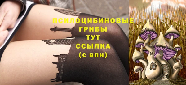 PSILOCYBIN Алексеевка