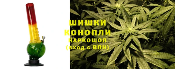 PSILOCYBIN Алексеевка