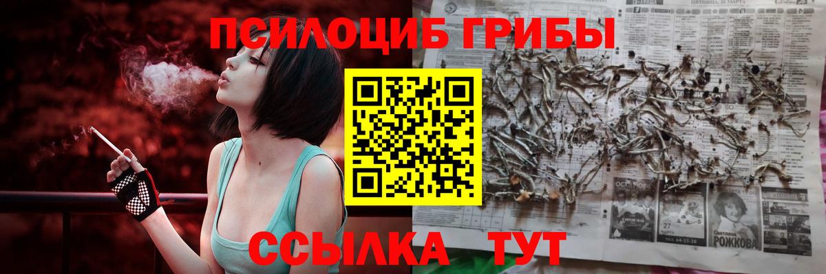Псилоцибиновые грибы Cubensis Уварово